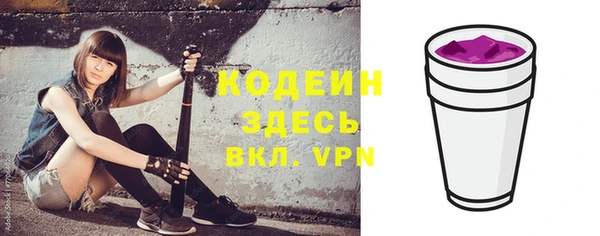 твердый Пересвет