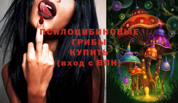 твердый Пересвет
