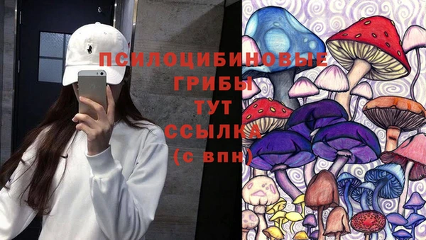 круглые Переславль-Залесский