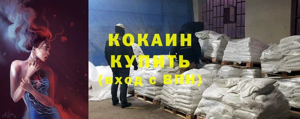 ПСИЛОЦИБИНОВЫЕ ГРИБЫ Карпинск