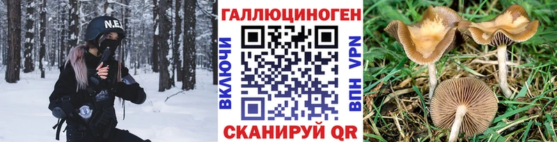 Псилоцибиновые грибы Cubensis  Карабаш 
